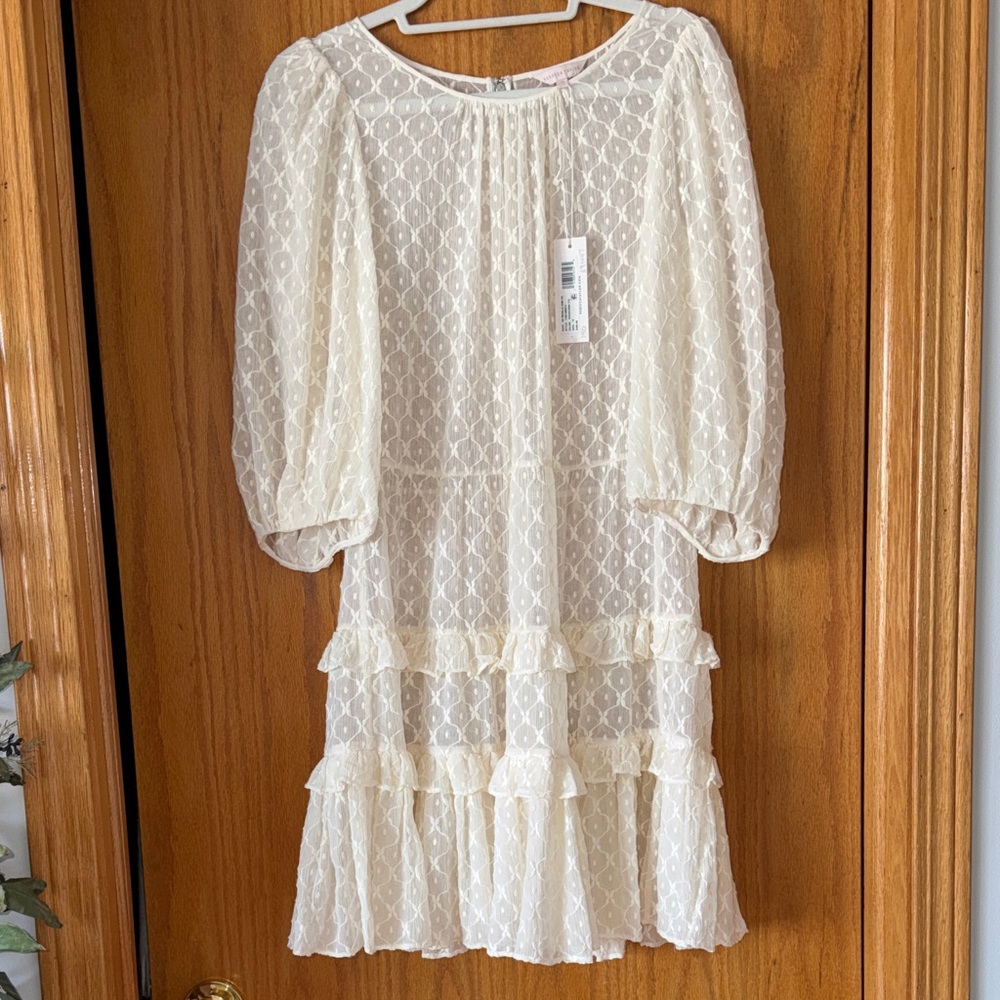 Rebecca Taylor Ivory Embroidered Sheer Dress